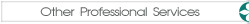 Other Professional Services